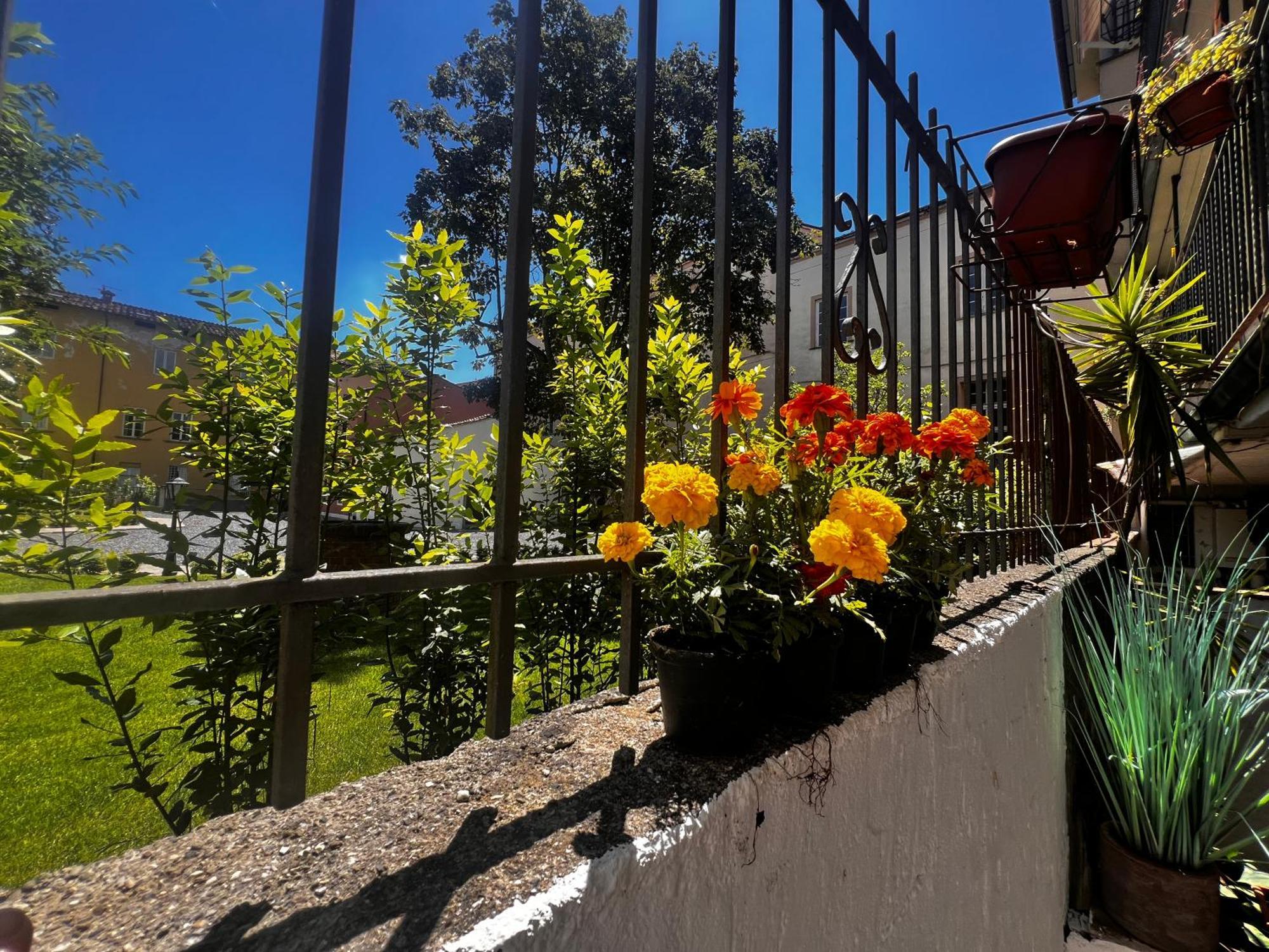 Casa In Pelleria Apartment Lucca Exterior photo